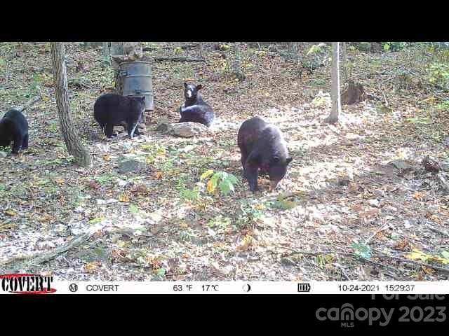 88 Long Ridge Road Candler NC 28715