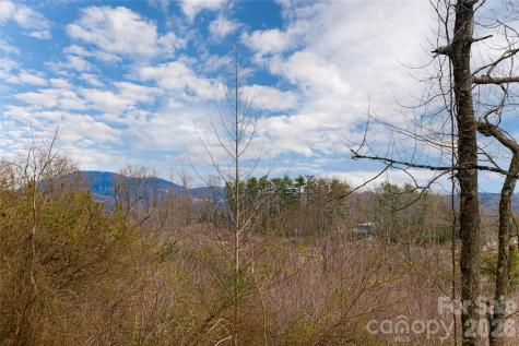 153 Hackleburg Lane Hendersonville NC 28792