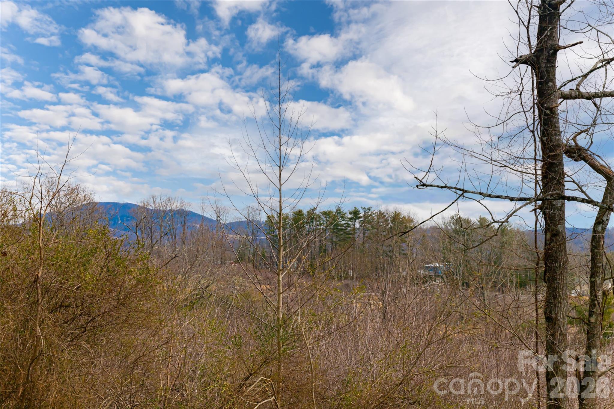153 Hackleburg Lane Hendersonville NC 28792