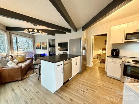 109 Beechwood Lane Beech Mountain NC 28604