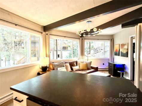 109 Beechwood Lane Beech Mountain NC 28604