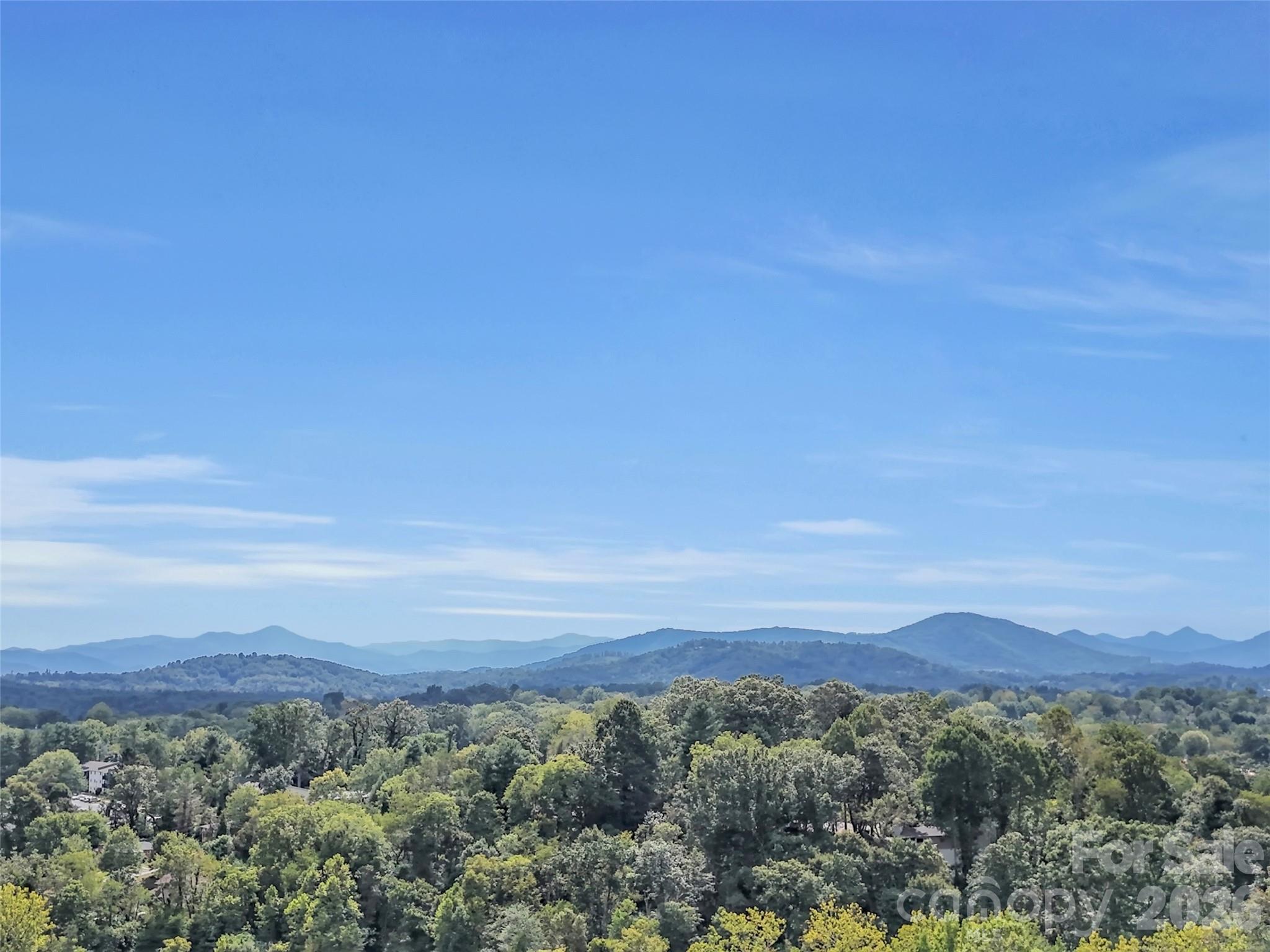 17 Elkmont Terrace Asheville NC 28804