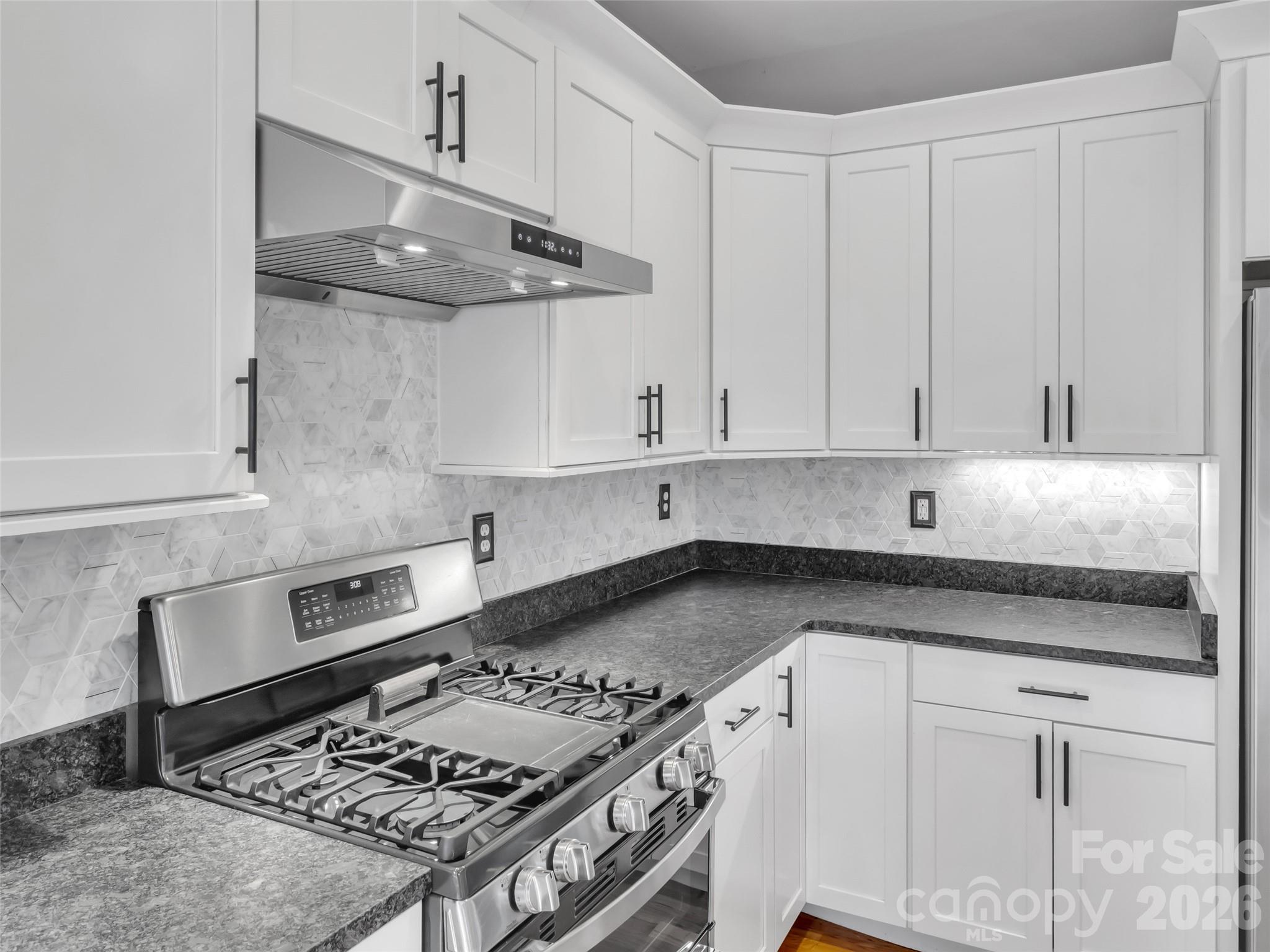 17 Elkmont Terrace Asheville NC 28804