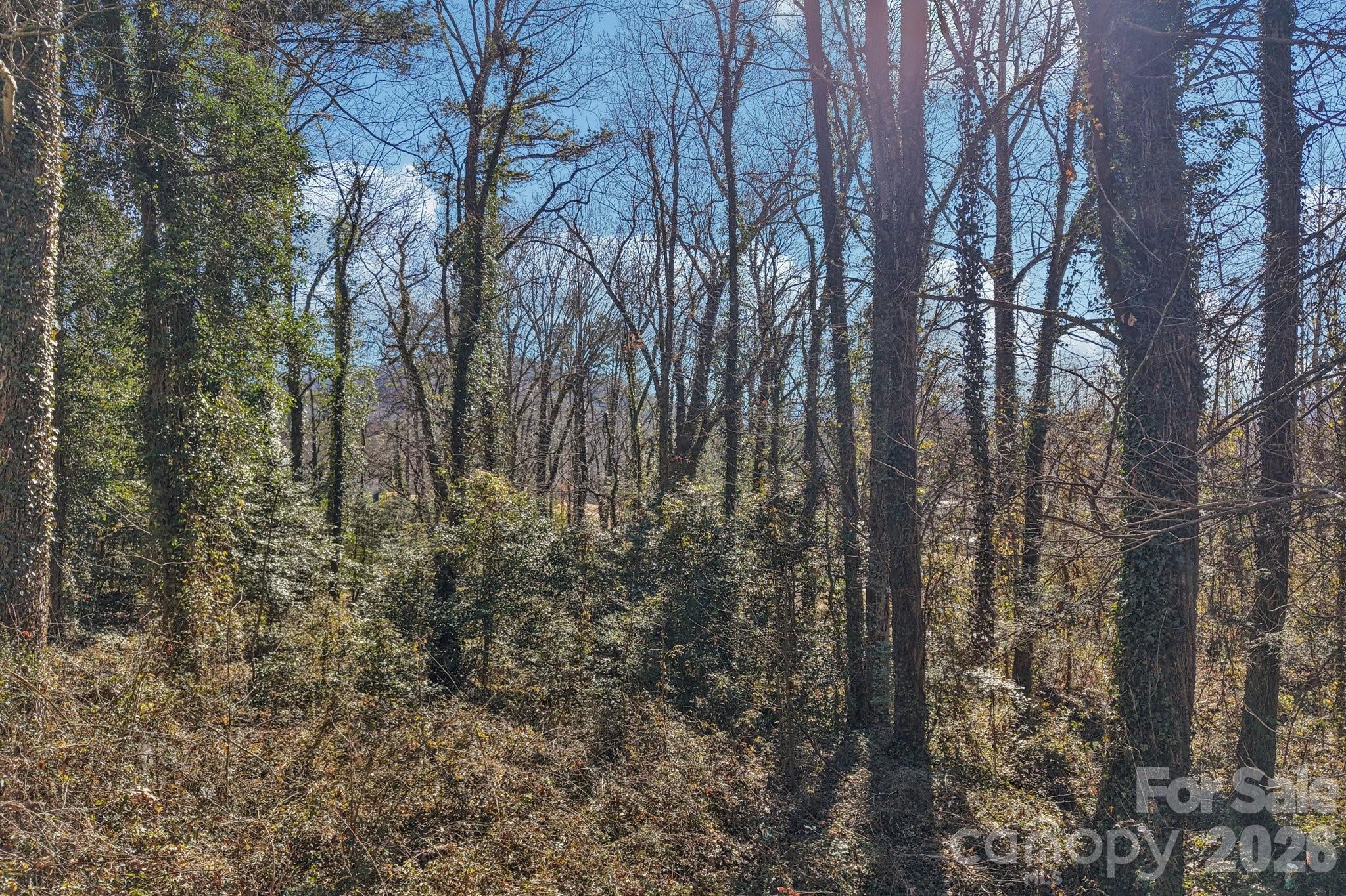 71,73,75 Forest Drive Clyde NC 28721