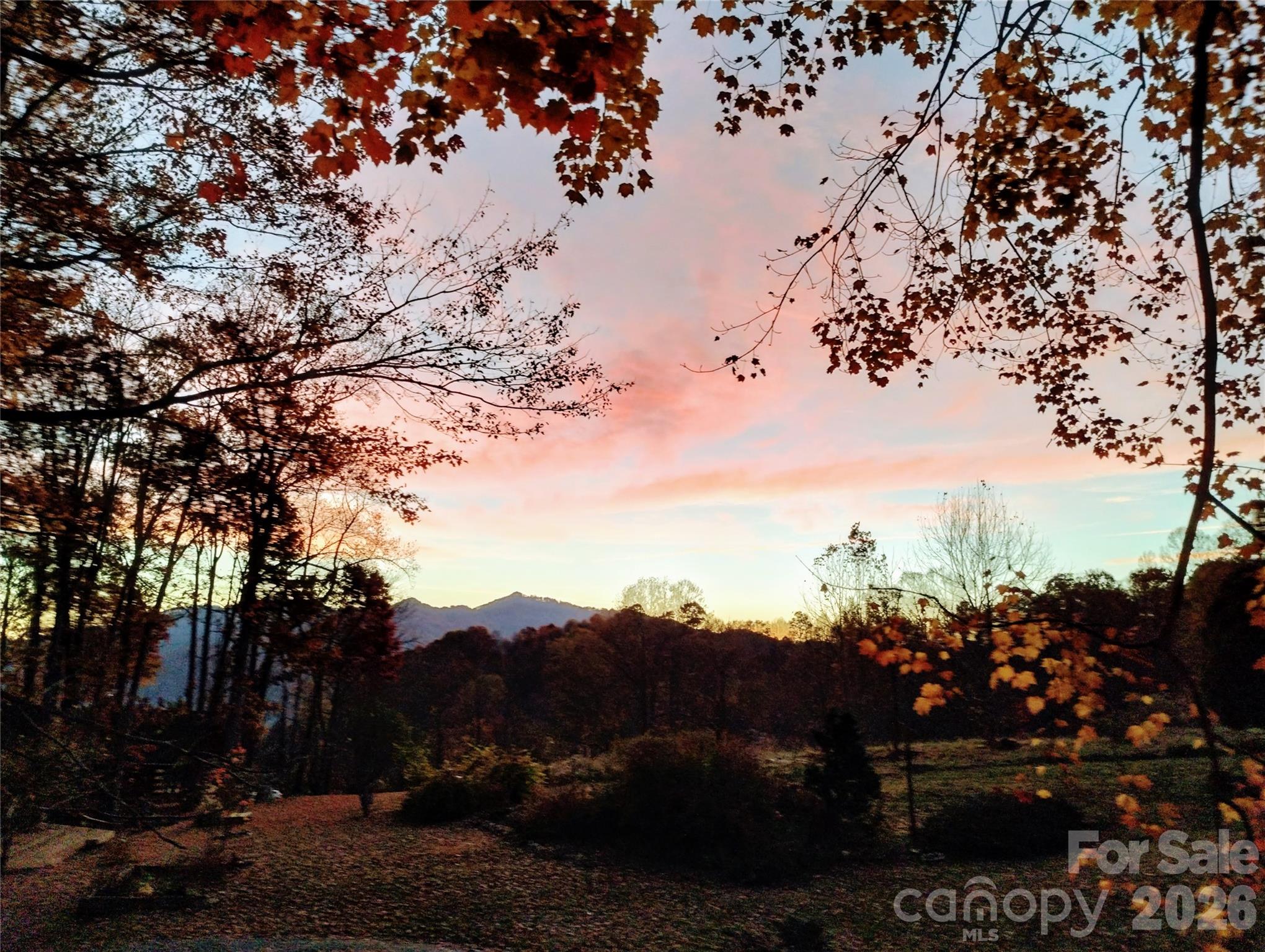 429 Biodome Drive Waynesville NC 28785