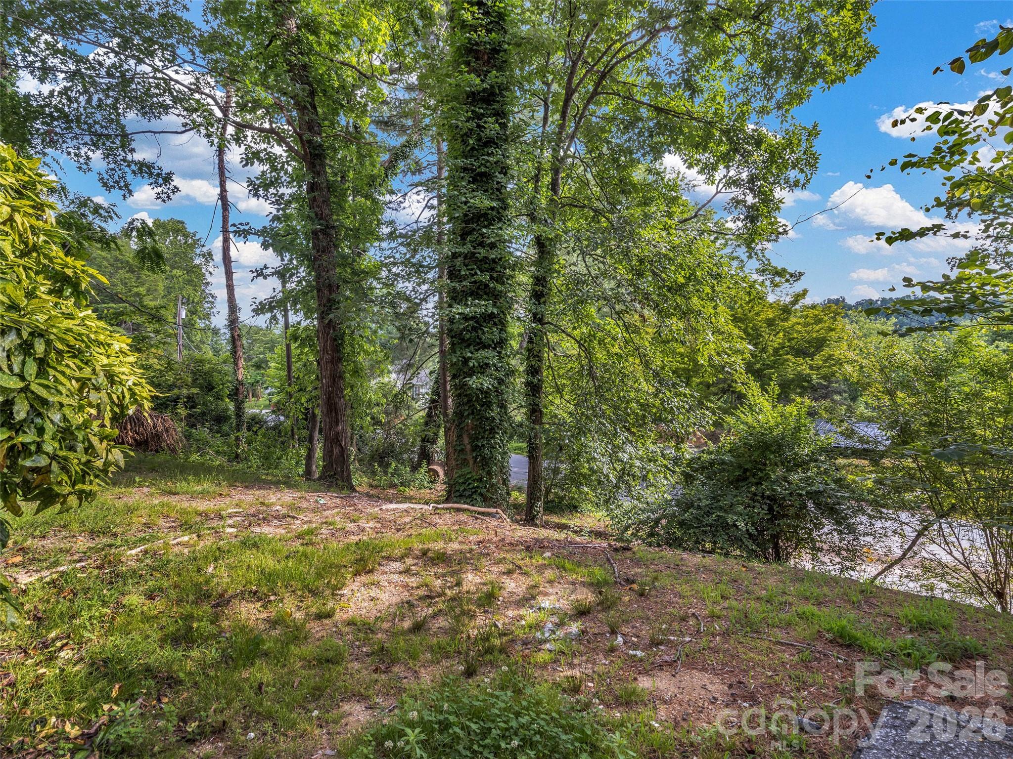 114 Elden Street Hendersonville NC 28791