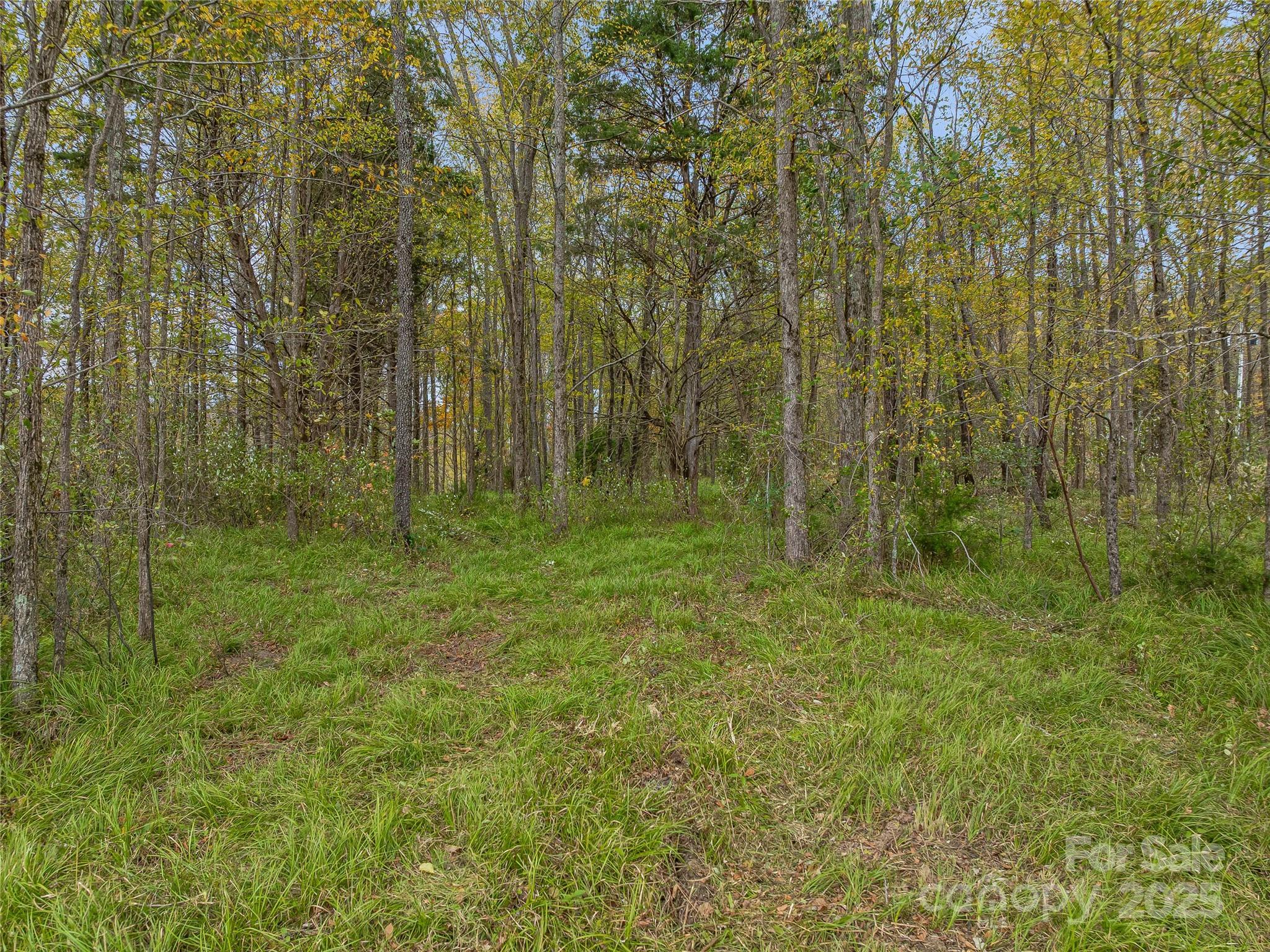 1640, 1641, 1642 River Road Hot Springs NC 28743