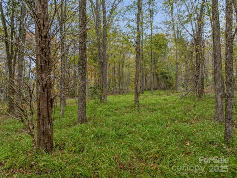 1640,1641,1642 River Road Hot Springs NC 28743