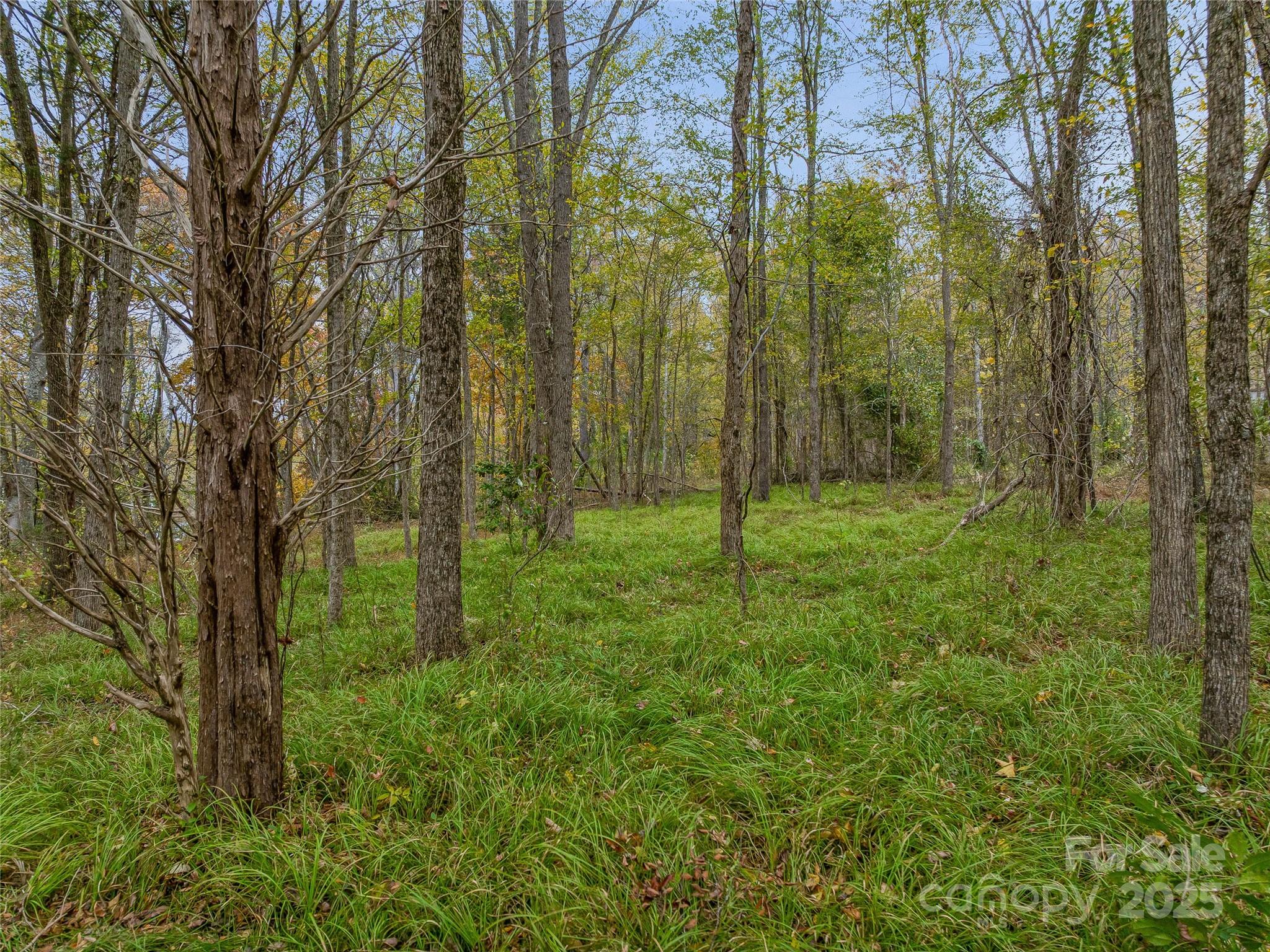 1640, 1641, 1642 River Road Hot Springs NC 28743
