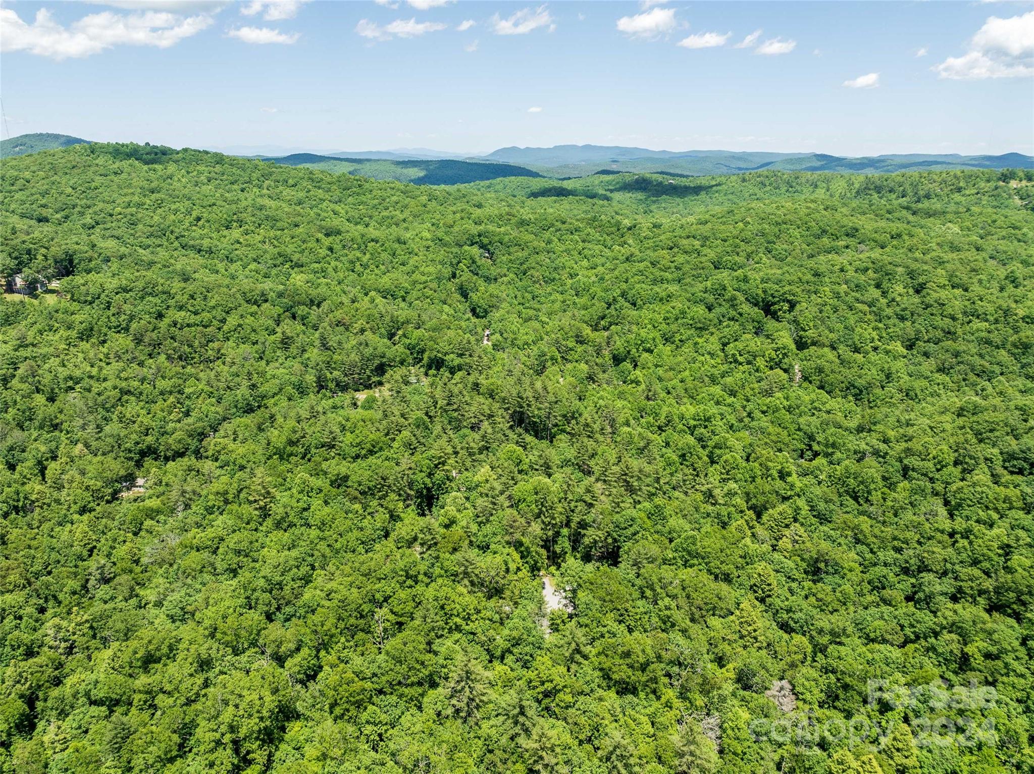 78 Smiling Fox Trail Brevard NC 28712