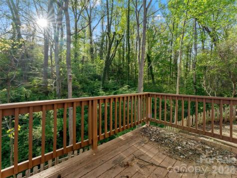 13 Castle Street Asheville NC 28803