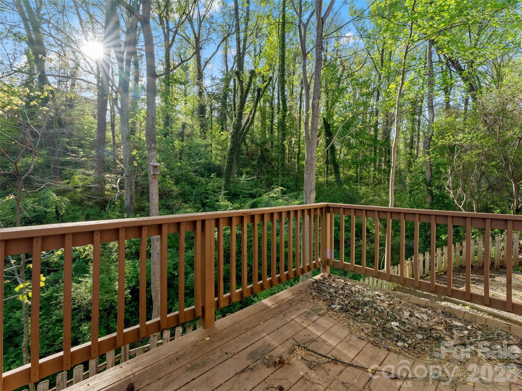 13 Castle Street Asheville NC 28803
