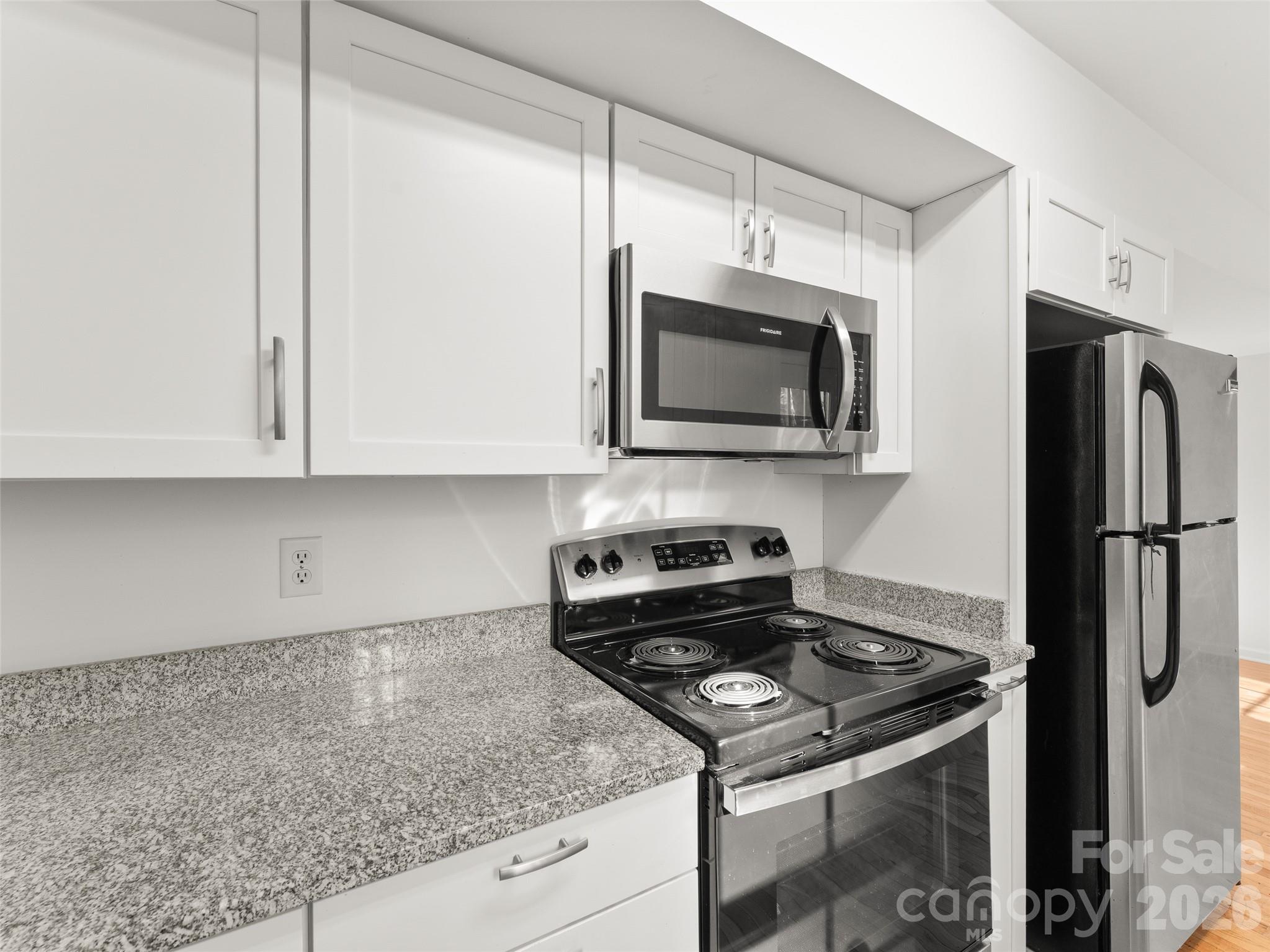 13 Castle Street Asheville NC 28803