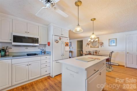 6 Chestnut Terrace Asheville NC 28803