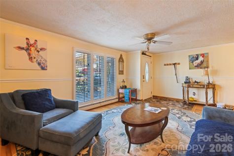 6 Chestnut Terrace Asheville NC 28803