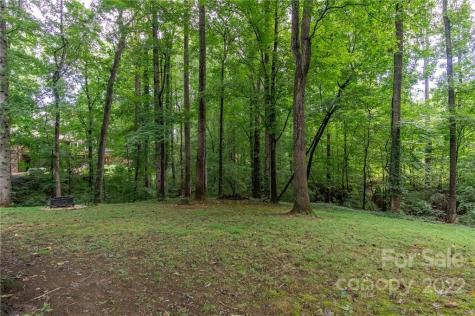 25 Selwyn Road Asheville NC 28806