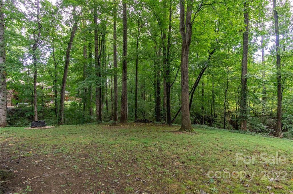 25 Selwyn Road Asheville NC 28806