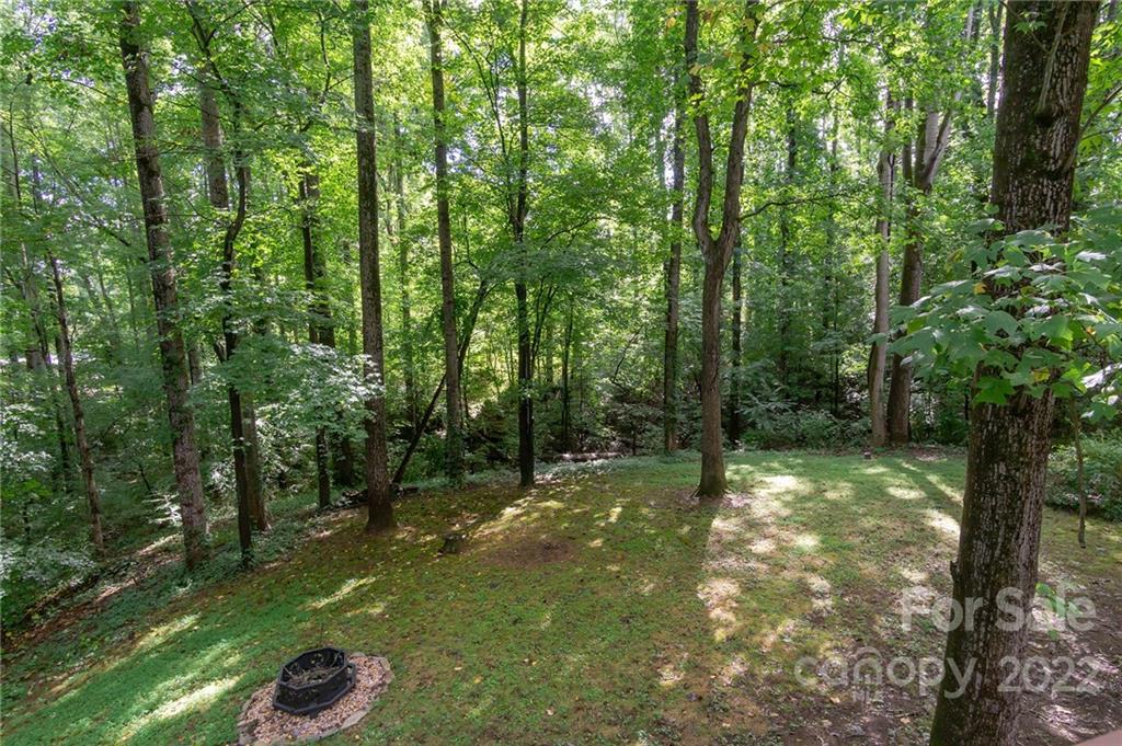 25 Selwyn Road Asheville NC 28806
