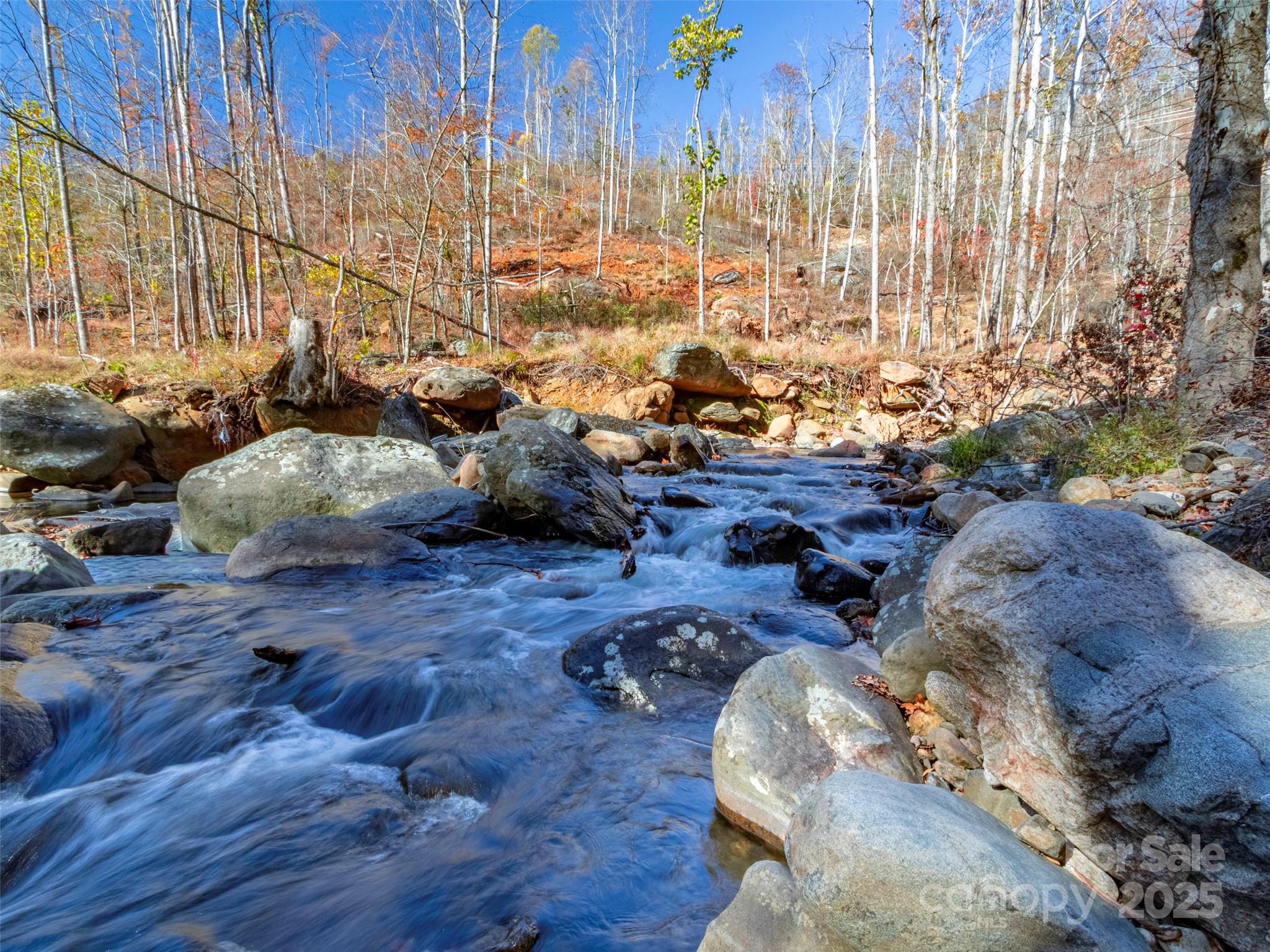 90 Rogers Creek Drive Bakersville NC 28705