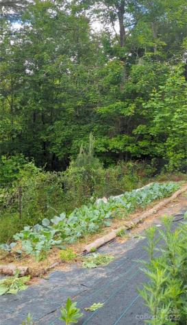6 Sunrise Valley Leicester NC 28748
