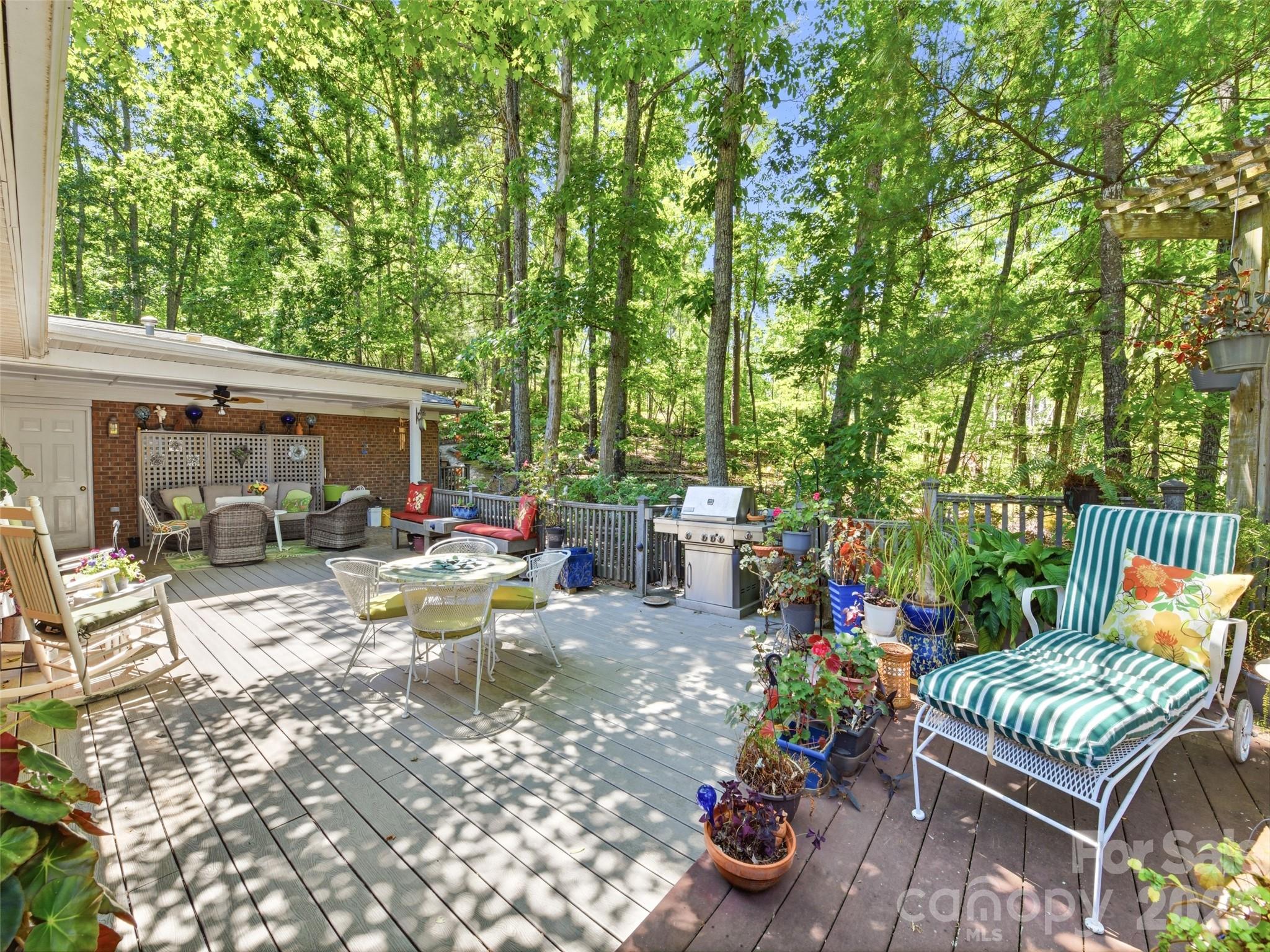 5 Sunny Ridge Drive Asheville NC 28804