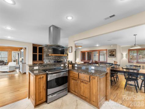 67 Ossarooga Court Brevard NC 28712