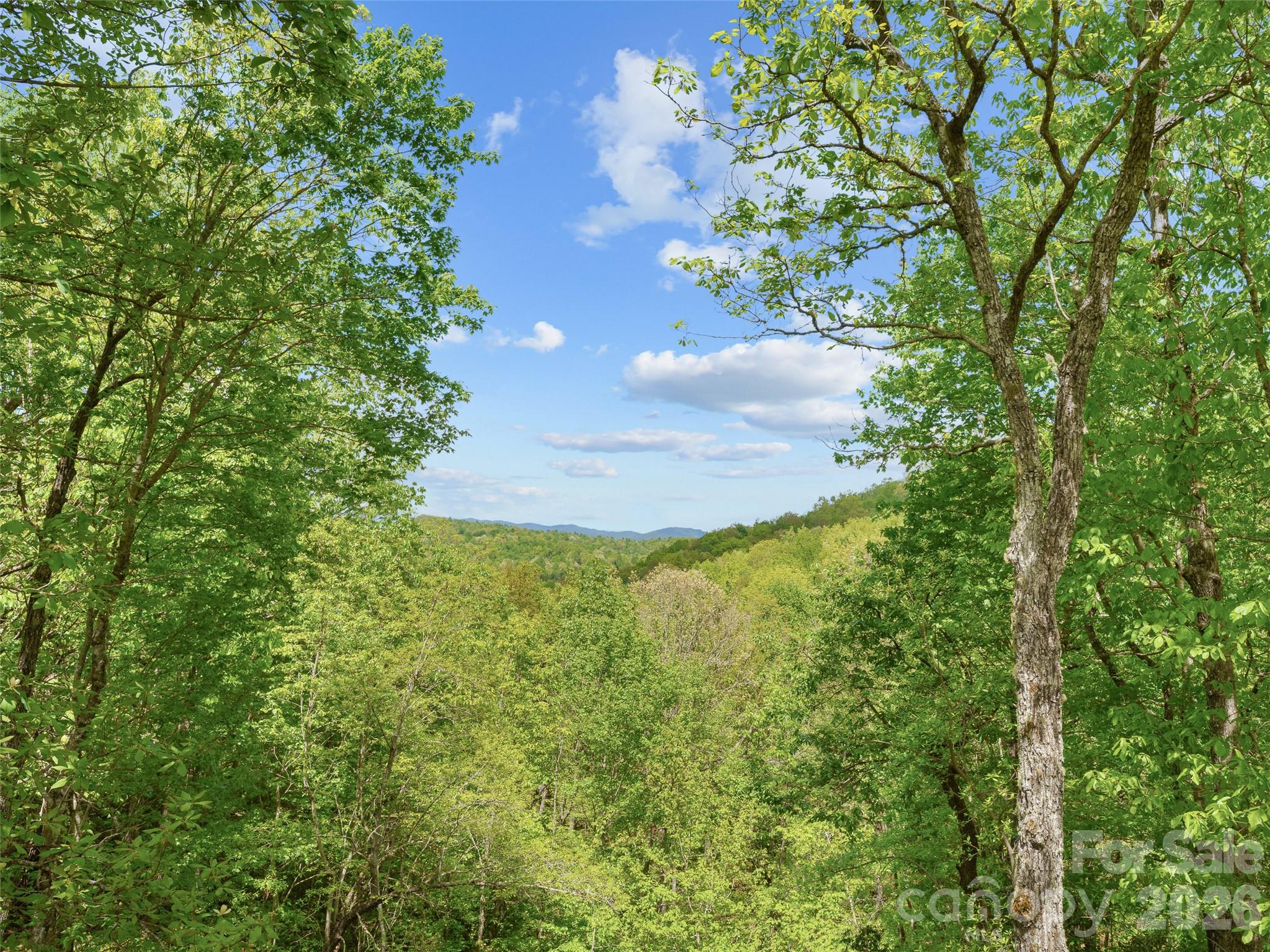 67 Ossarooga Court Brevard NC 28712