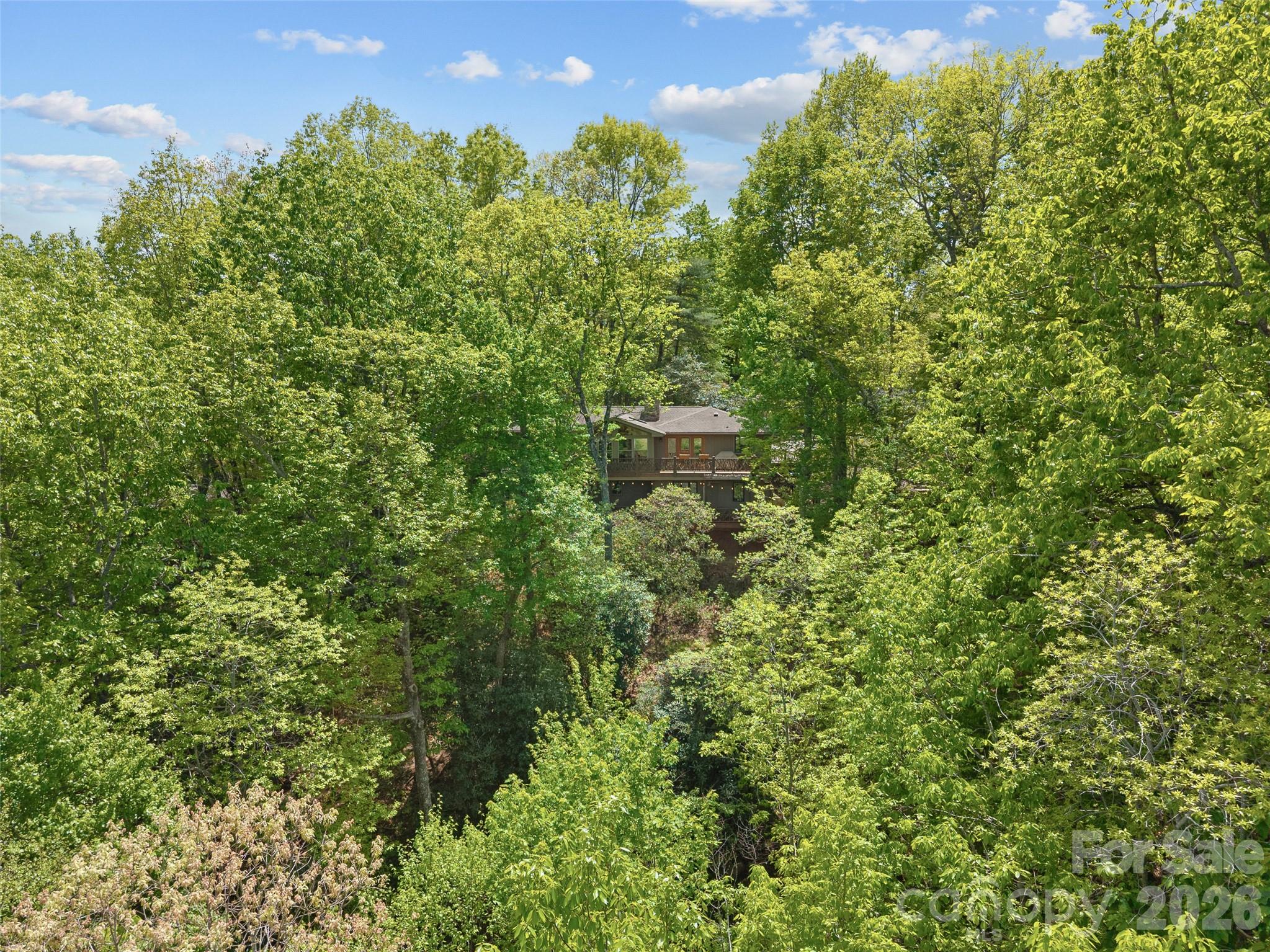 67 Ossarooga Court Brevard NC 28712