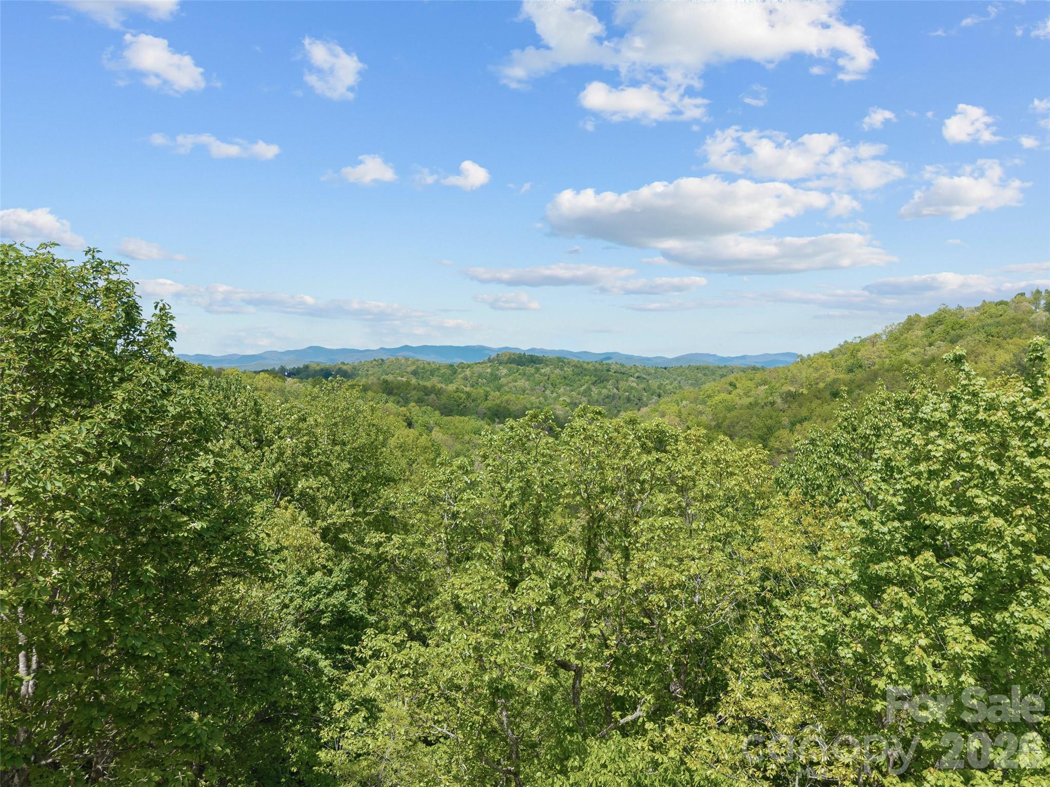 67 Ossarooga Court Brevard NC 28712