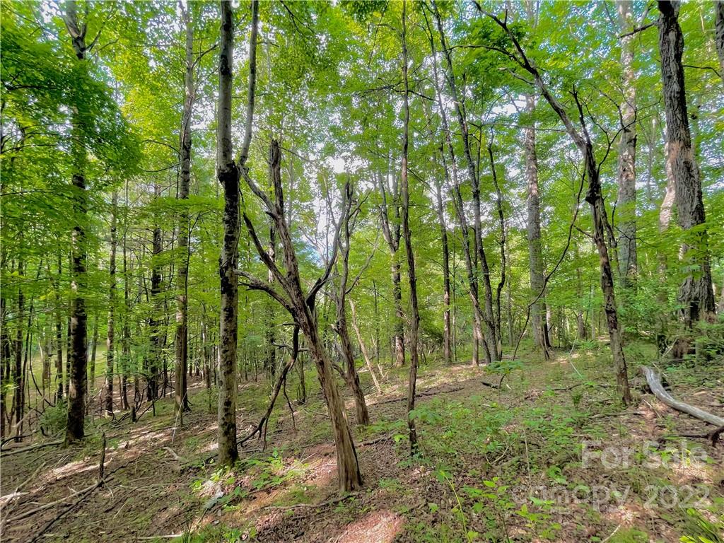 1125 Church Road Boone NC 28607