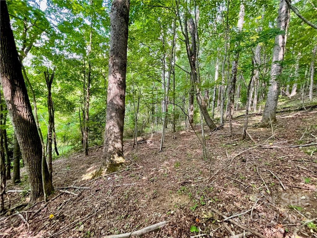 1125 Church Road Boone NC 28607