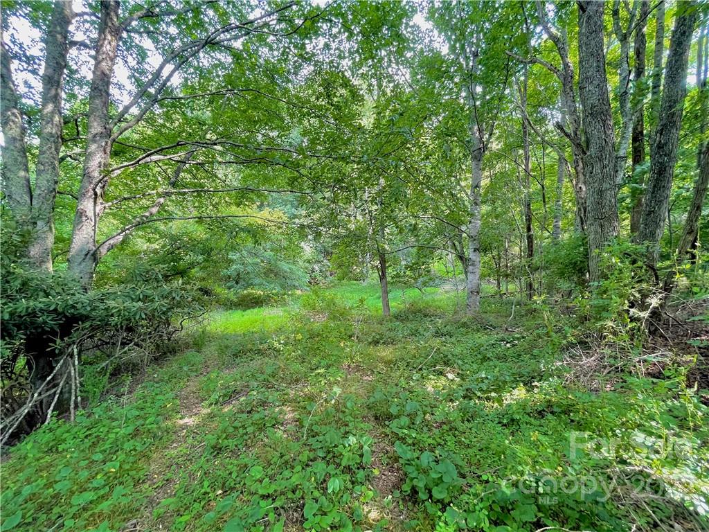 1125 Church Road Boone NC 28607