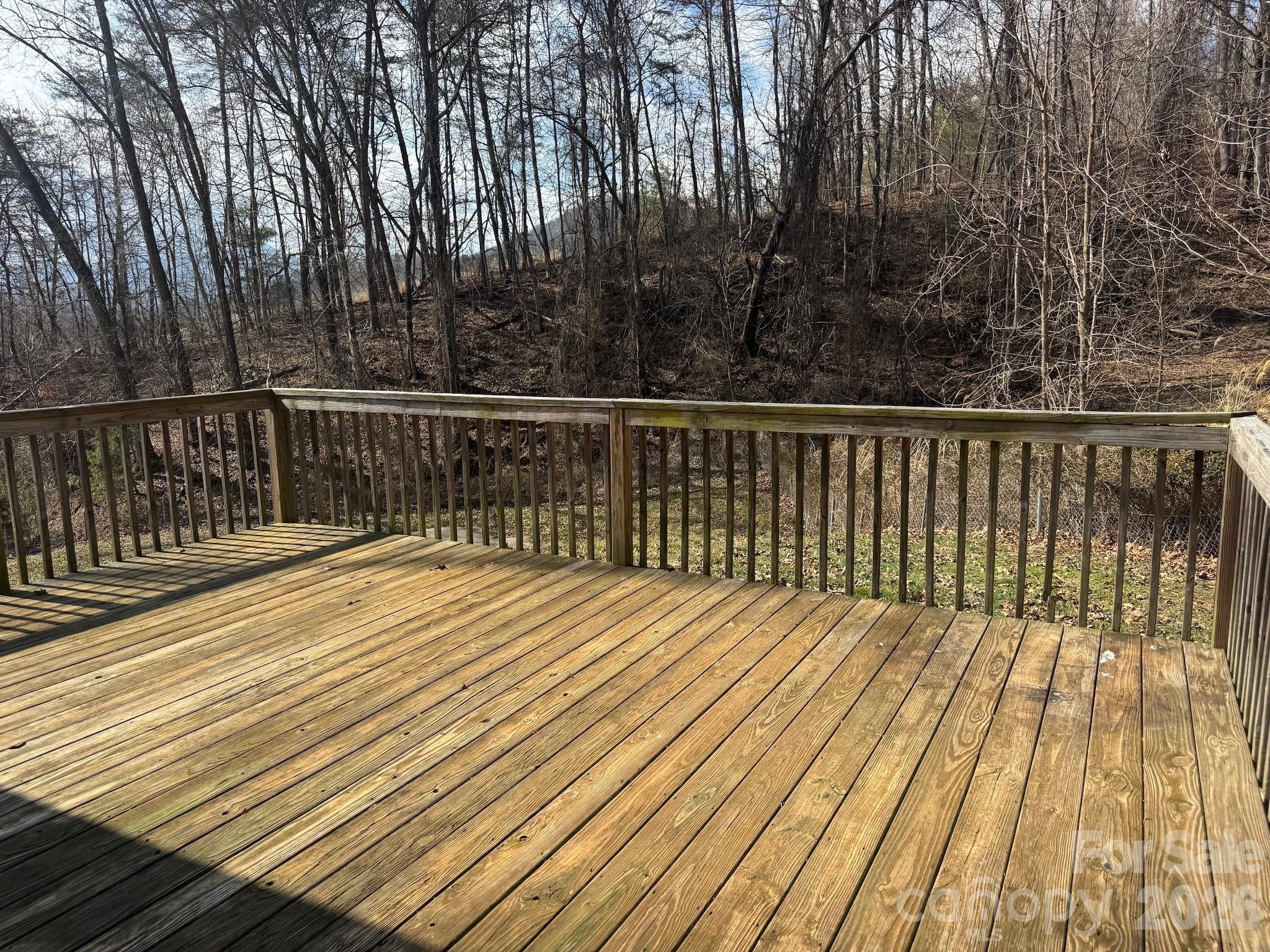 31 Parker Drive Candler NC 28715