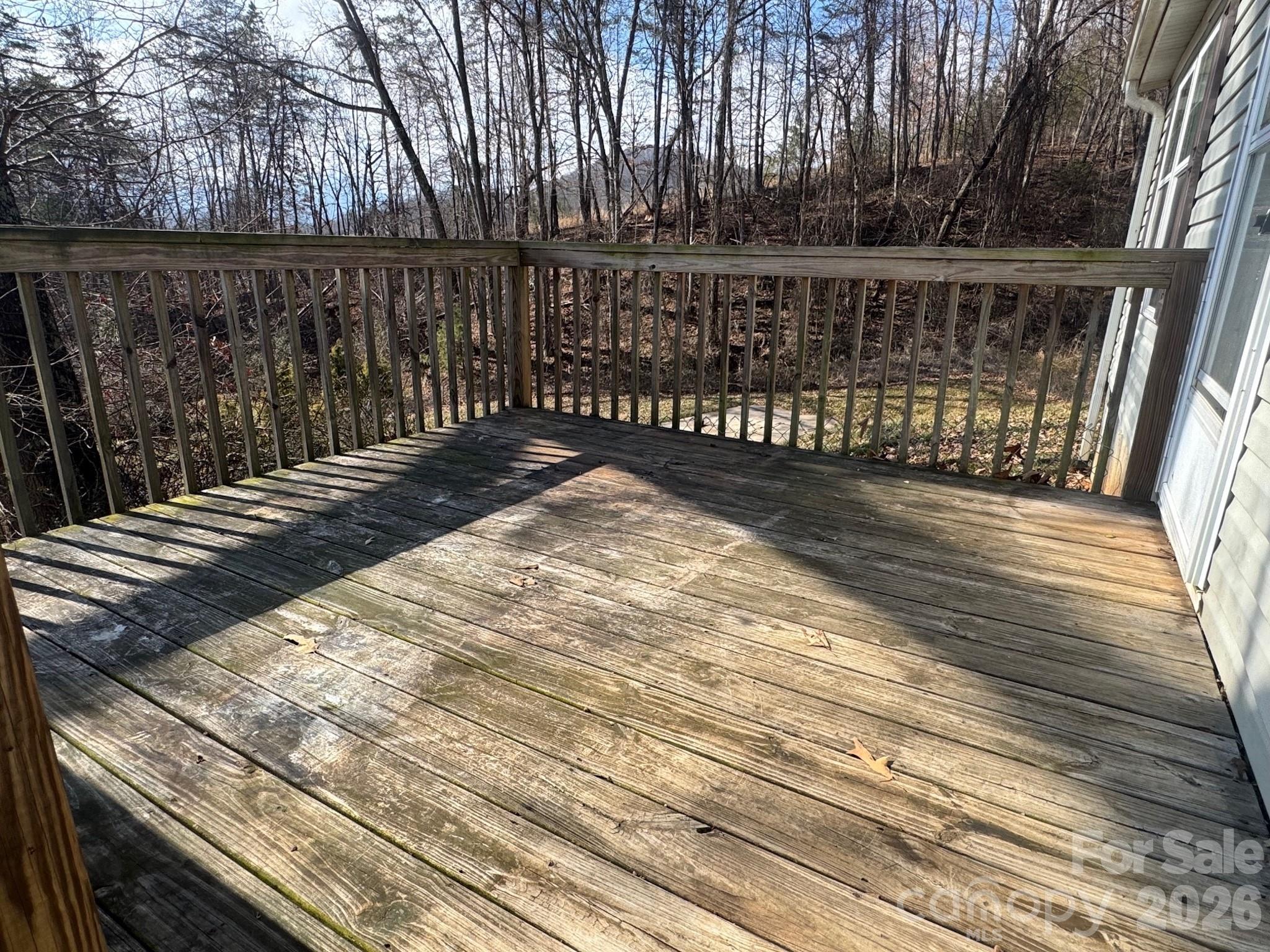 31 Parker Drive Candler NC 28715