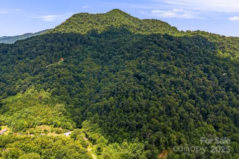 28 Back Stage Pass Canton NC 28716