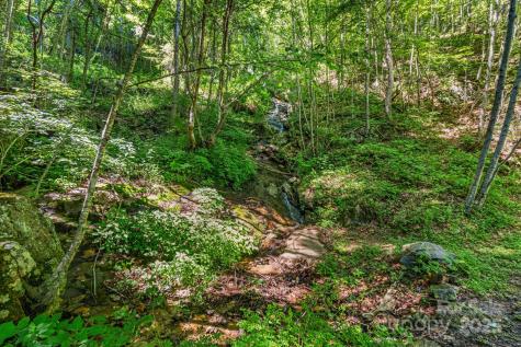 28 Back Stage Pass Canton NC 28716