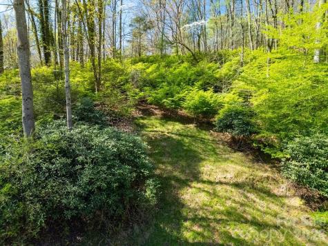 1482 Island Ford Road Brevard NC 28712