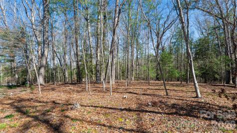 12 Stuyvesant Crescent Asheville NC 28803