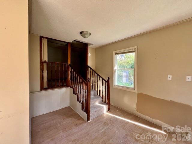 97 Oakland Drive Burnsville NC 28714