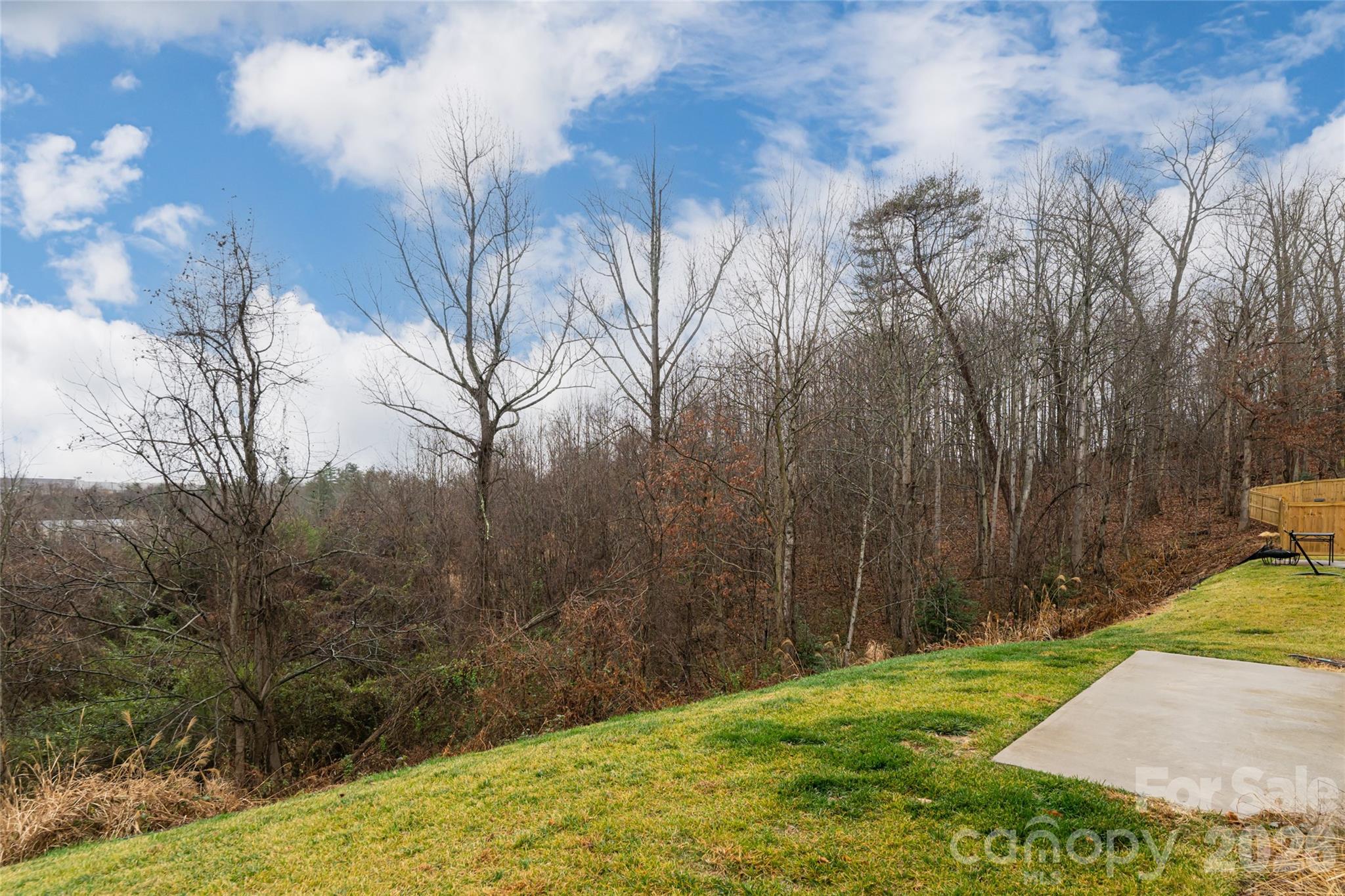 518 Jaca Lane Arden NC 28704