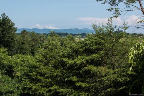 19 Springs Drive Leicester NC 28748