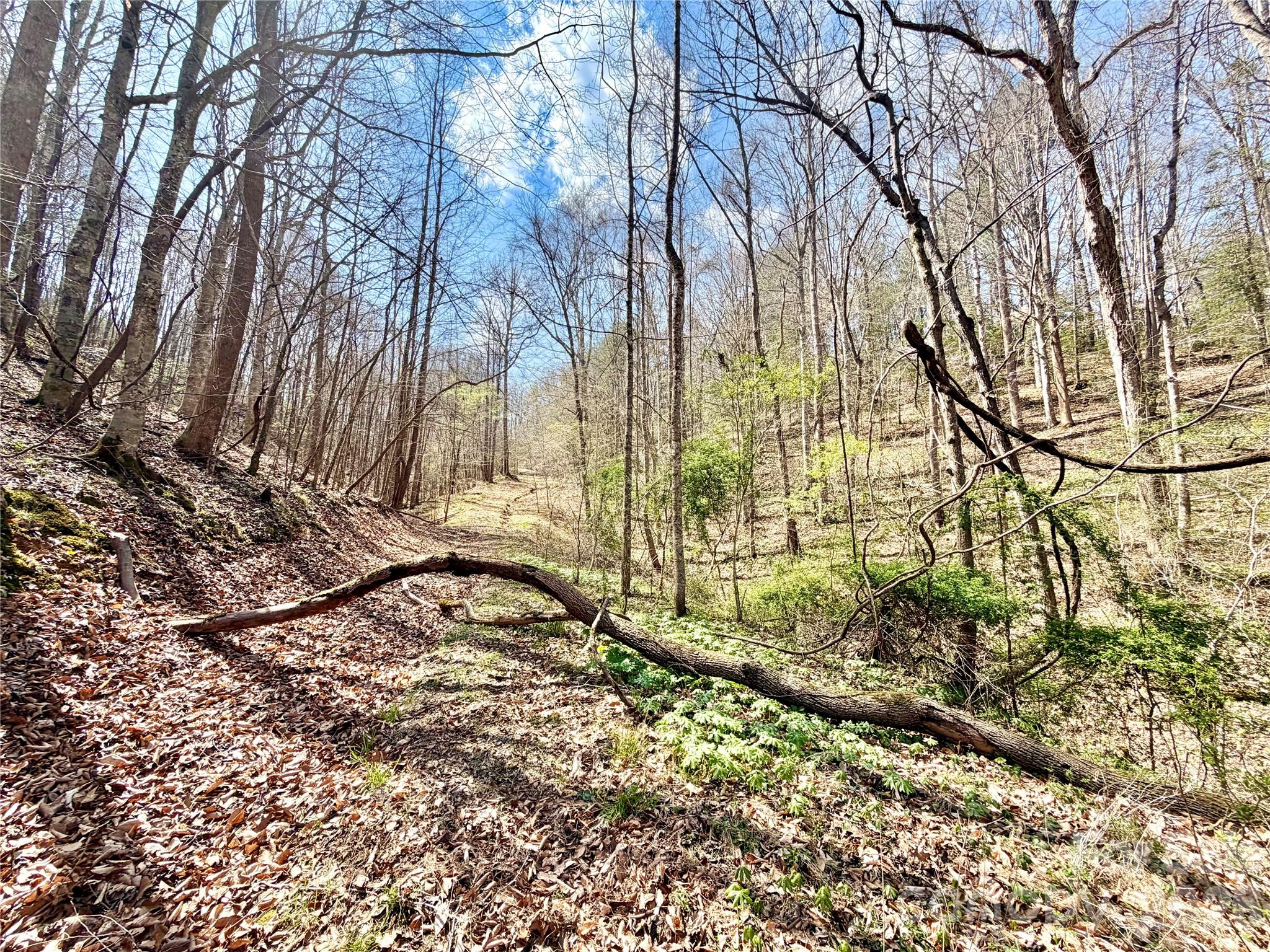 1218 Wittenburg Road Taylorsville NC 28681