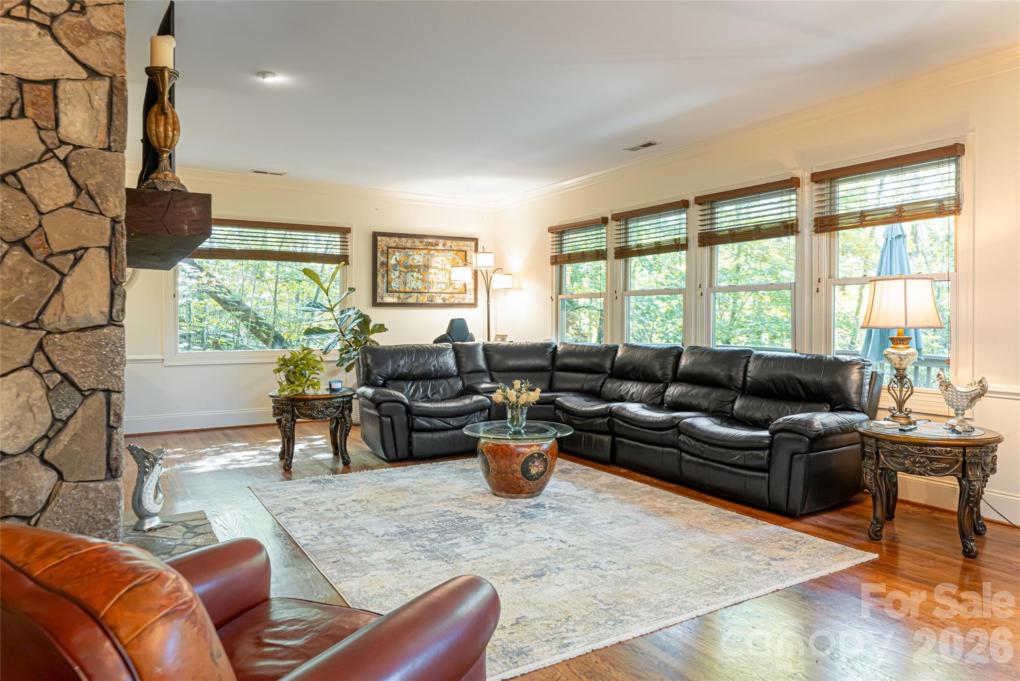 75 Cougar Lane Saluda NC 28773