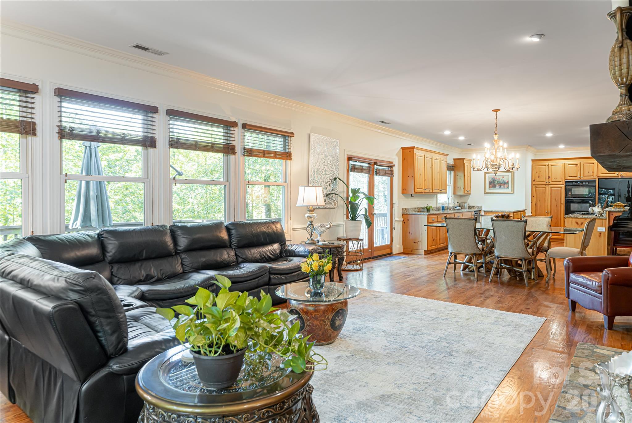 75 Cougar Lane Saluda NC 28773