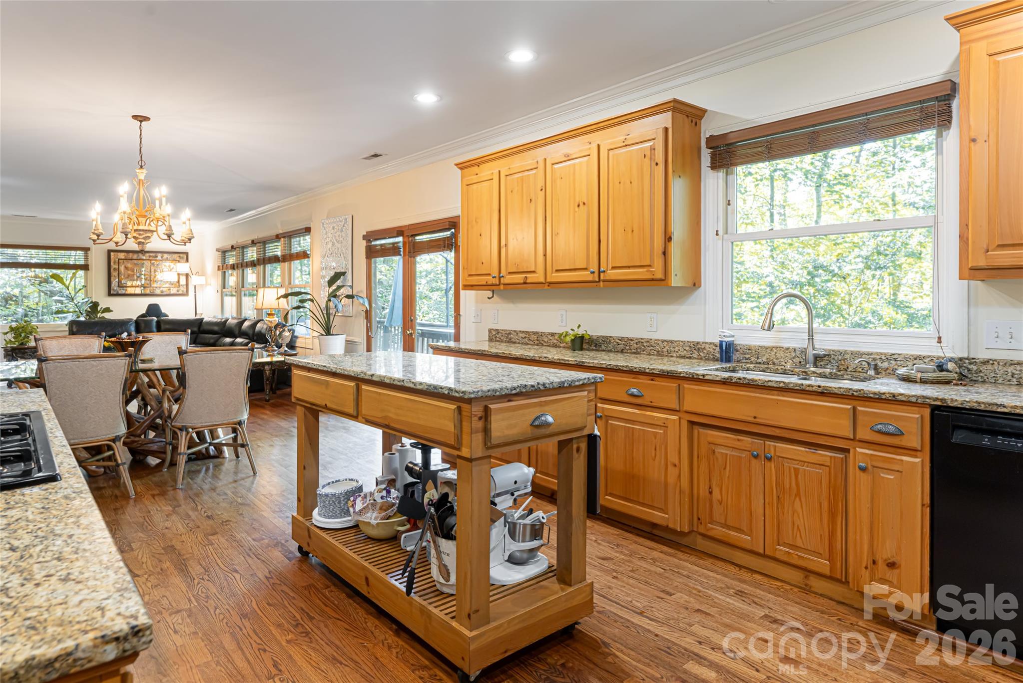75 Cougar Lane Saluda NC 28773