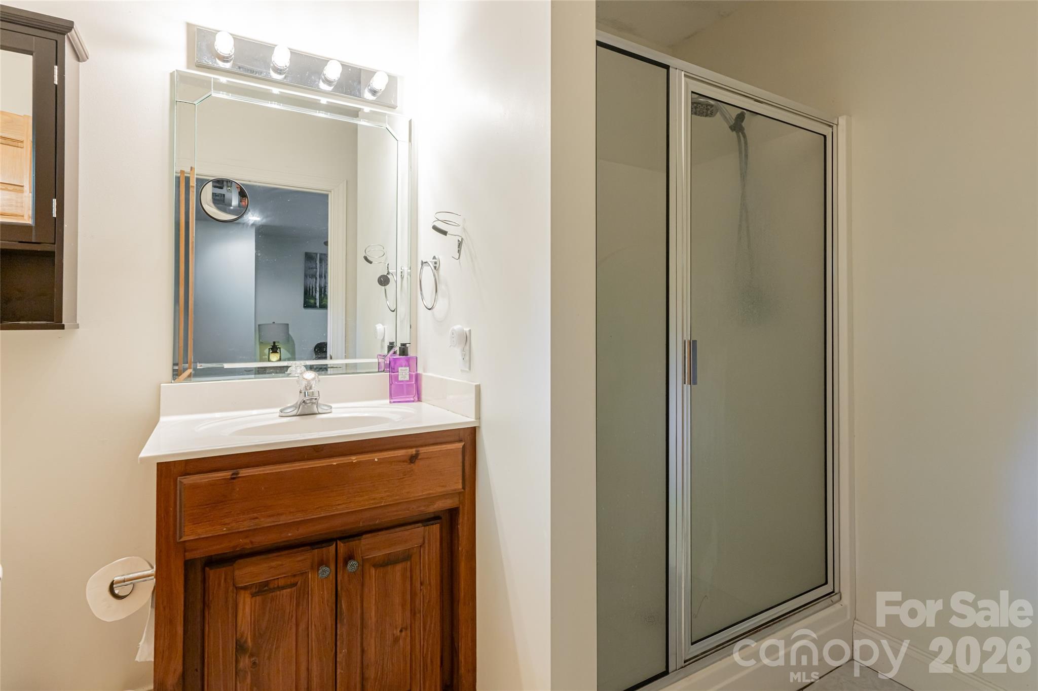 75 Cougar Lane Saluda NC 28773