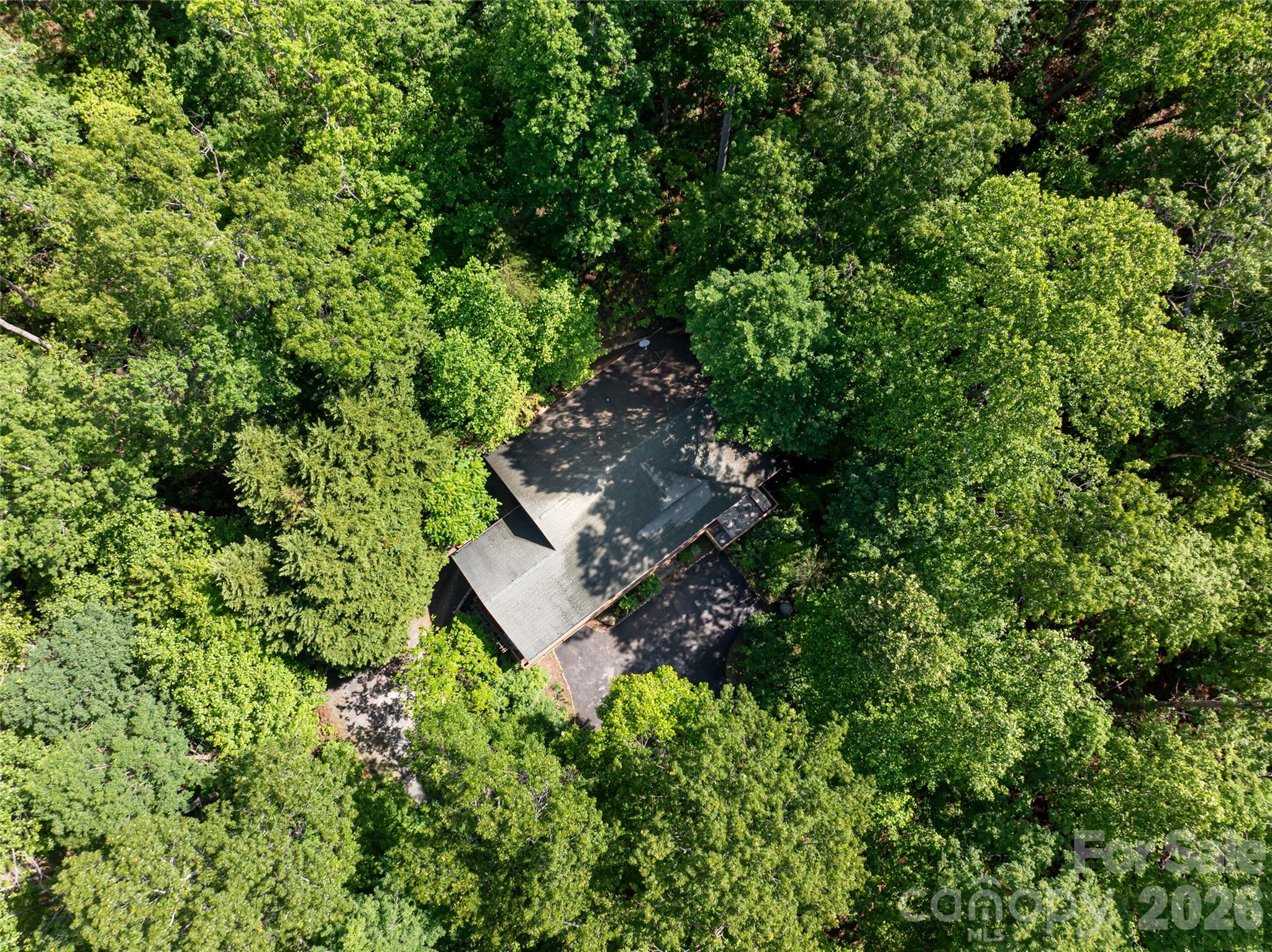 75 Cougar Lane Saluda NC 28773