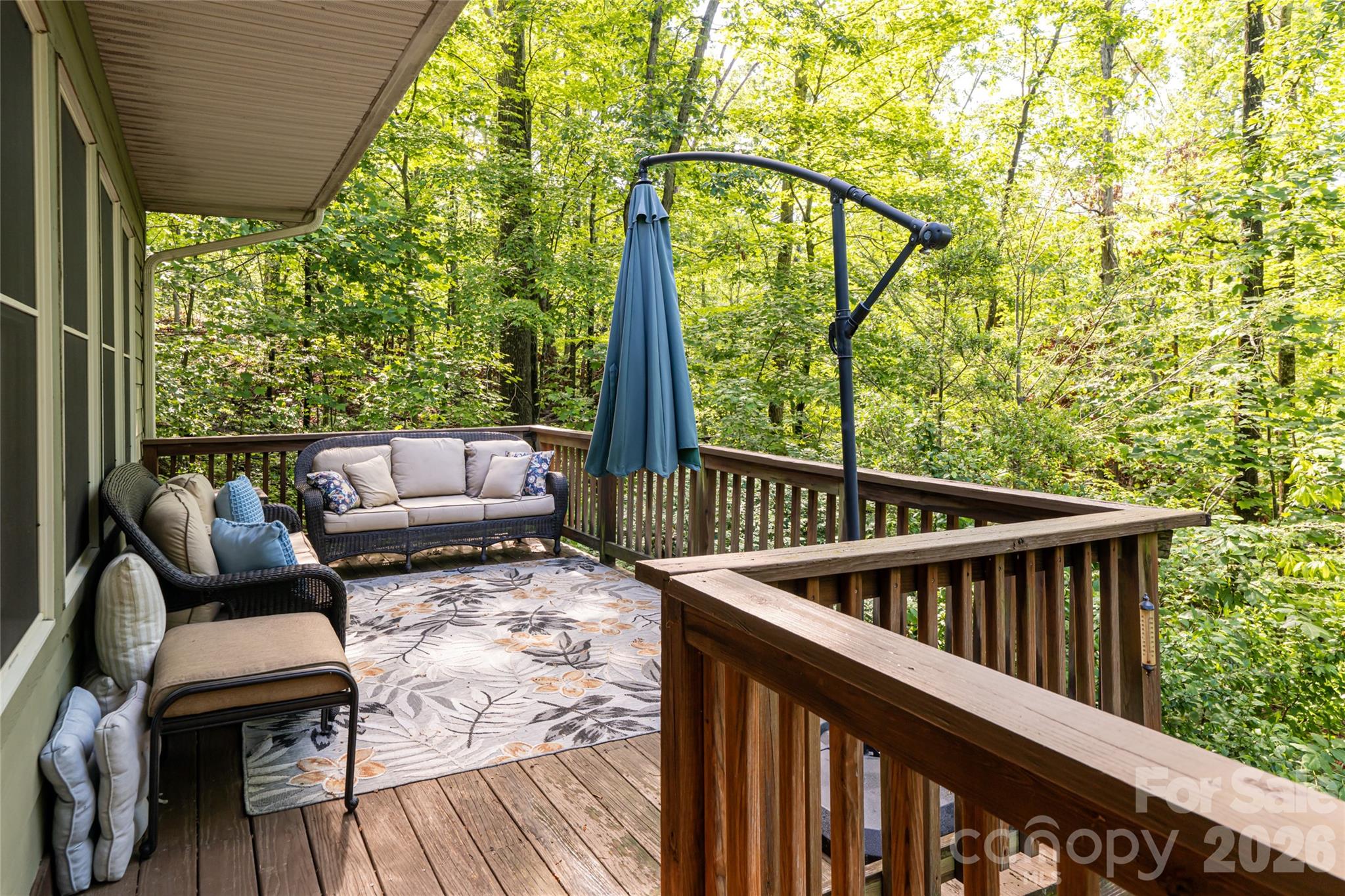 75 Cougar Lane Saluda NC 28773