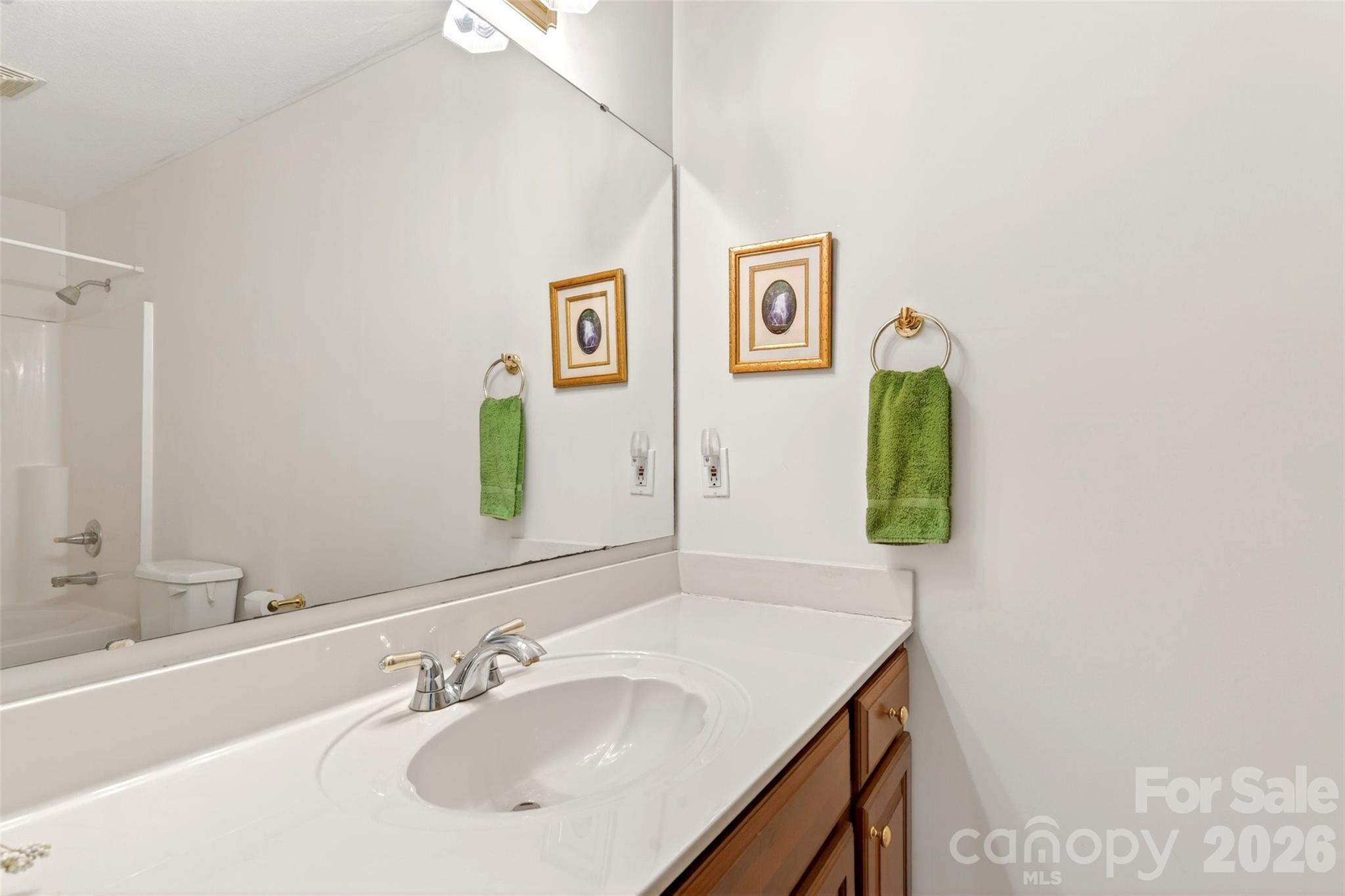 307 Blue Ridge Drive S Marion NC 28752