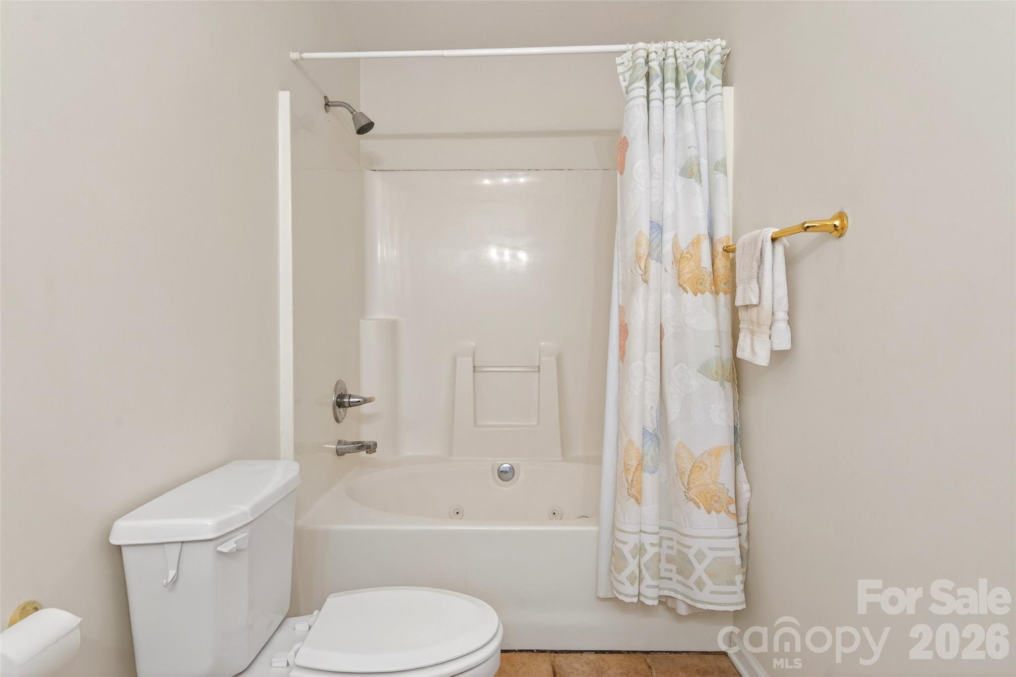 307 Blue Ridge Drive S Marion NC 28752